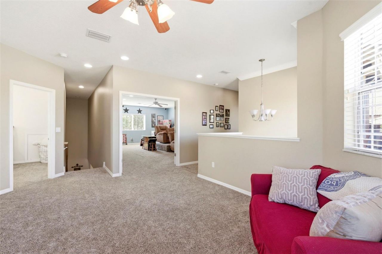 8743 New Alexandria Loop, New Port Richey, FL 34654 Photo