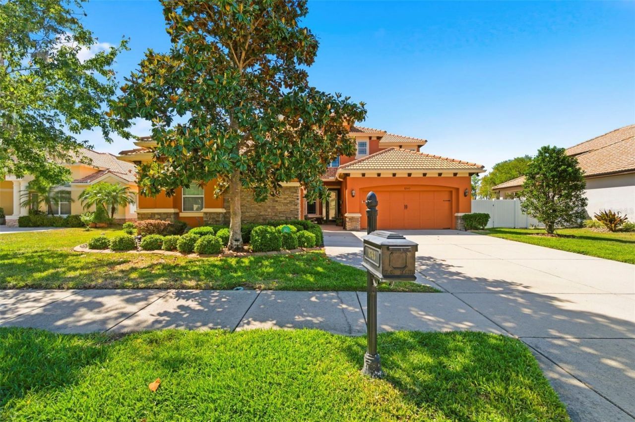 8743 New Alexandria Loop, New Port Richey, FL 34654 Photo