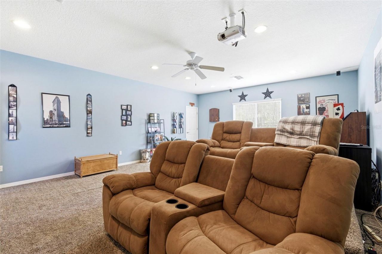 8743 New Alexandria Loop, New Port Richey, FL 34654 Photo