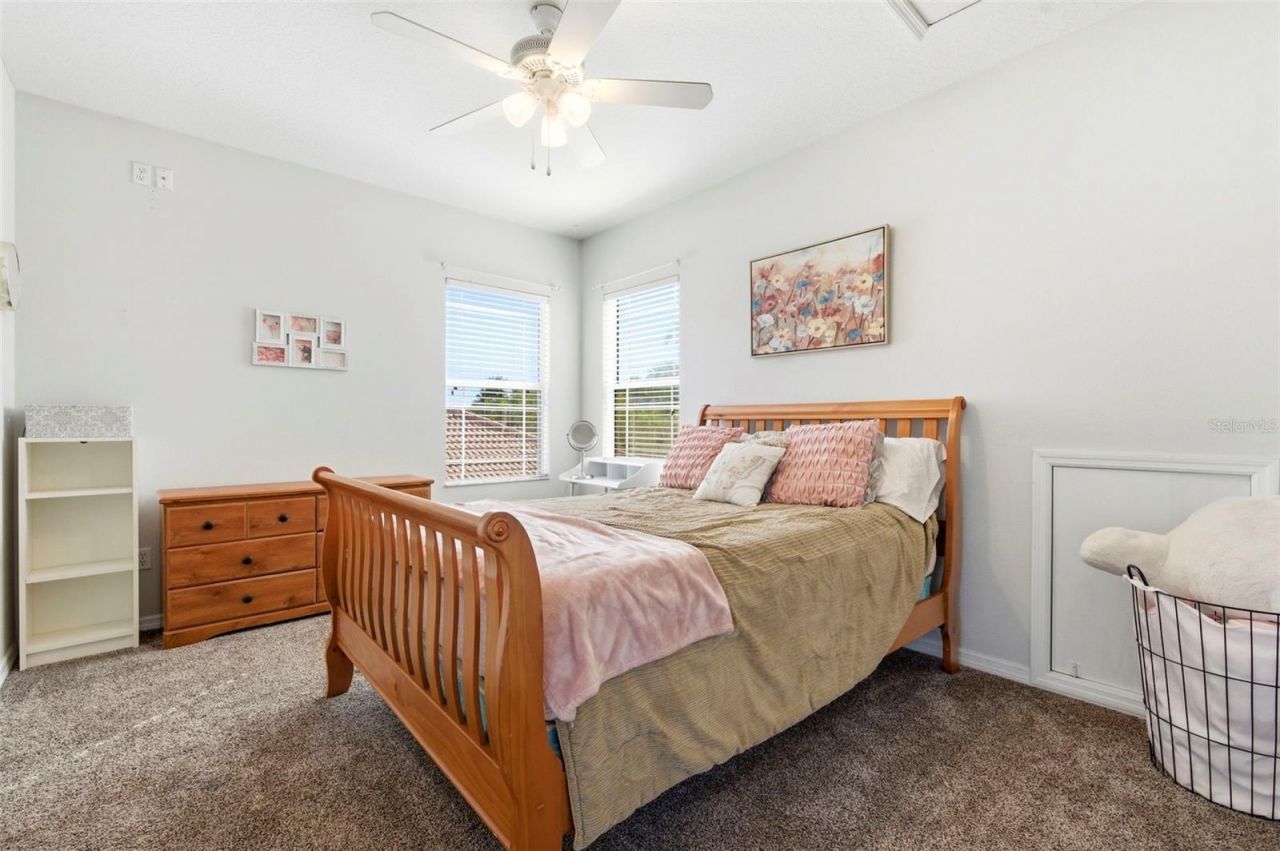 8743 New Alexandria Loop, New Port Richey, FL 34654 Photo