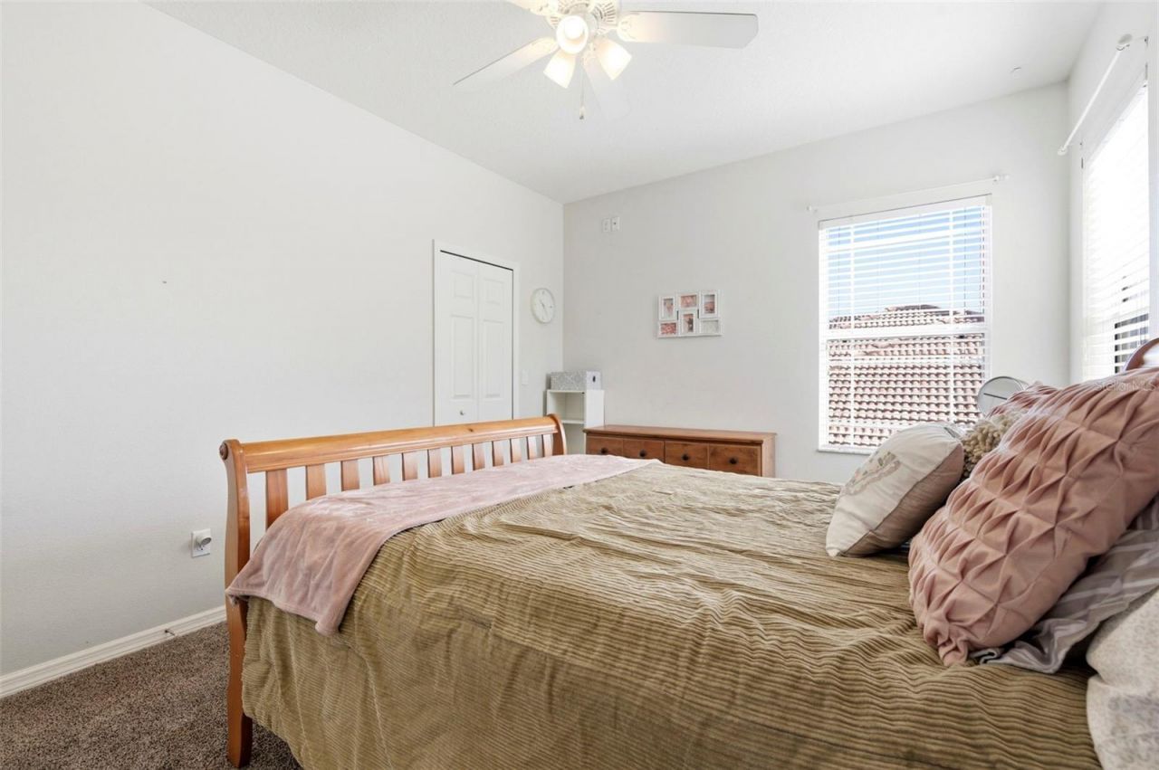 8743 New Alexandria Loop, New Port Richey, FL 34654 Photo