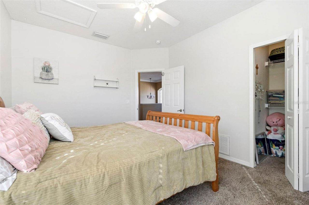 8743 New Alexandria Loop, New Port Richey, FL 34654 Photo