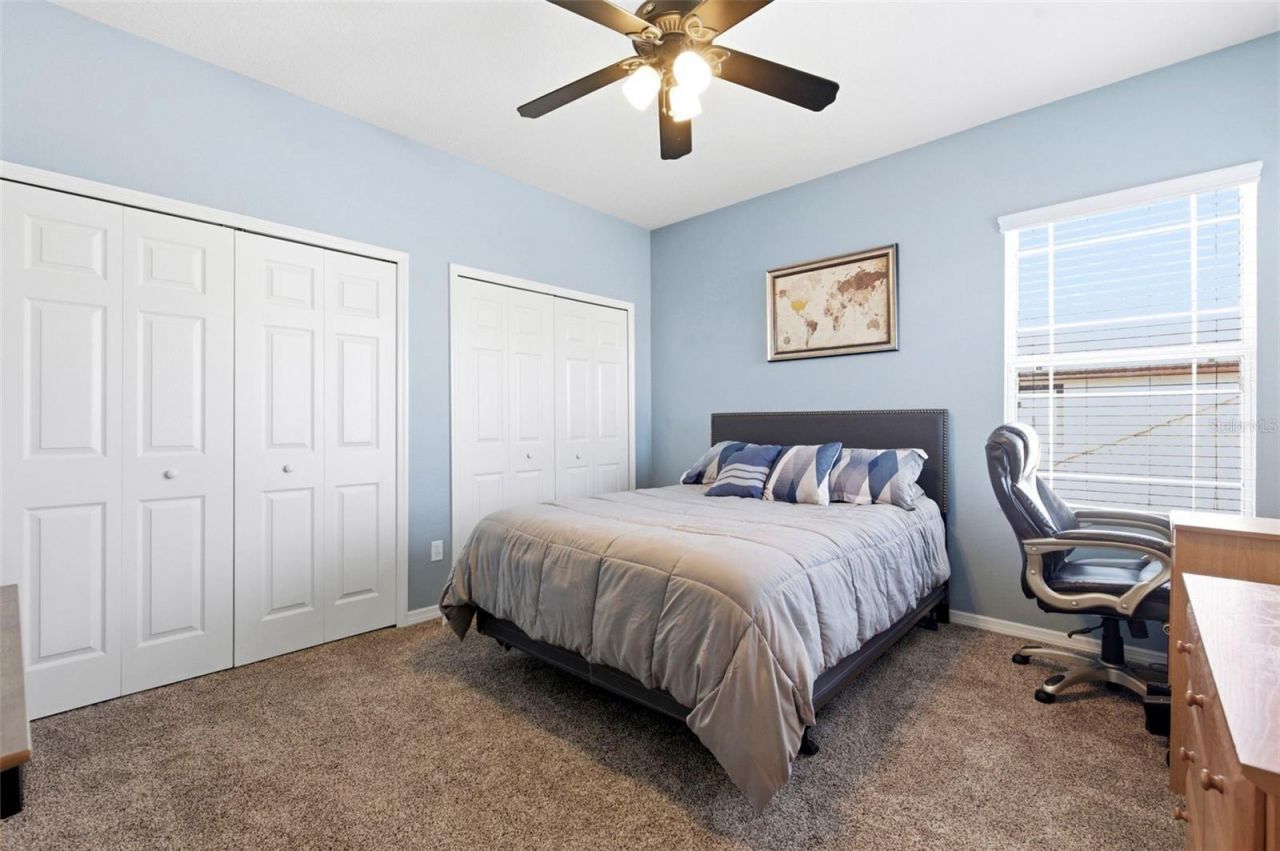 8743 New Alexandria Loop, New Port Richey, FL 34654 Photo