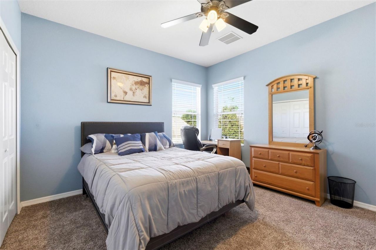 8743 New Alexandria Loop, New Port Richey, FL 34654 Photo