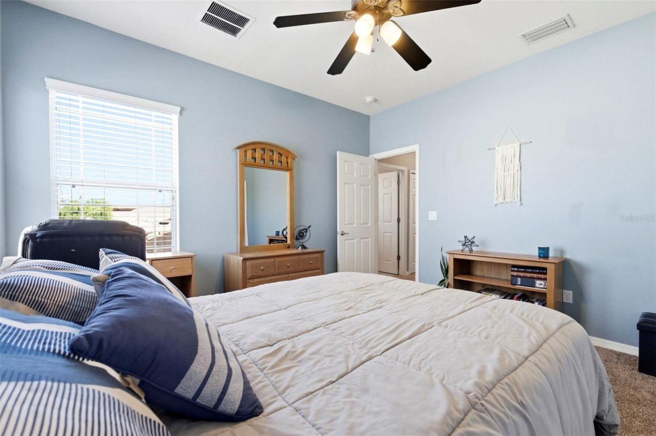 8743 New Alexandria Loop, New Port Richey, FL 34654 Photo