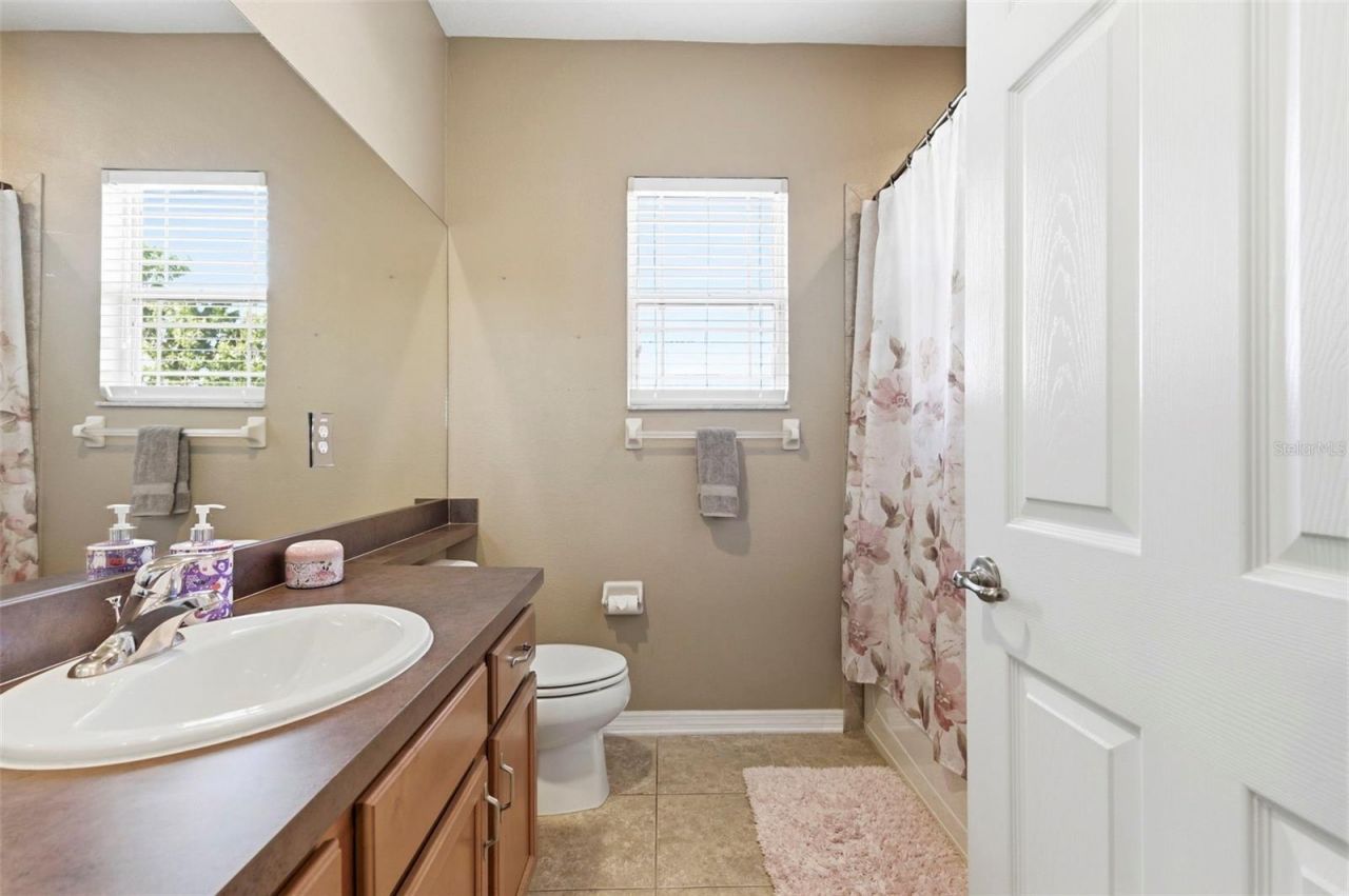 8743 New Alexandria Loop, New Port Richey, FL 34654 Photo