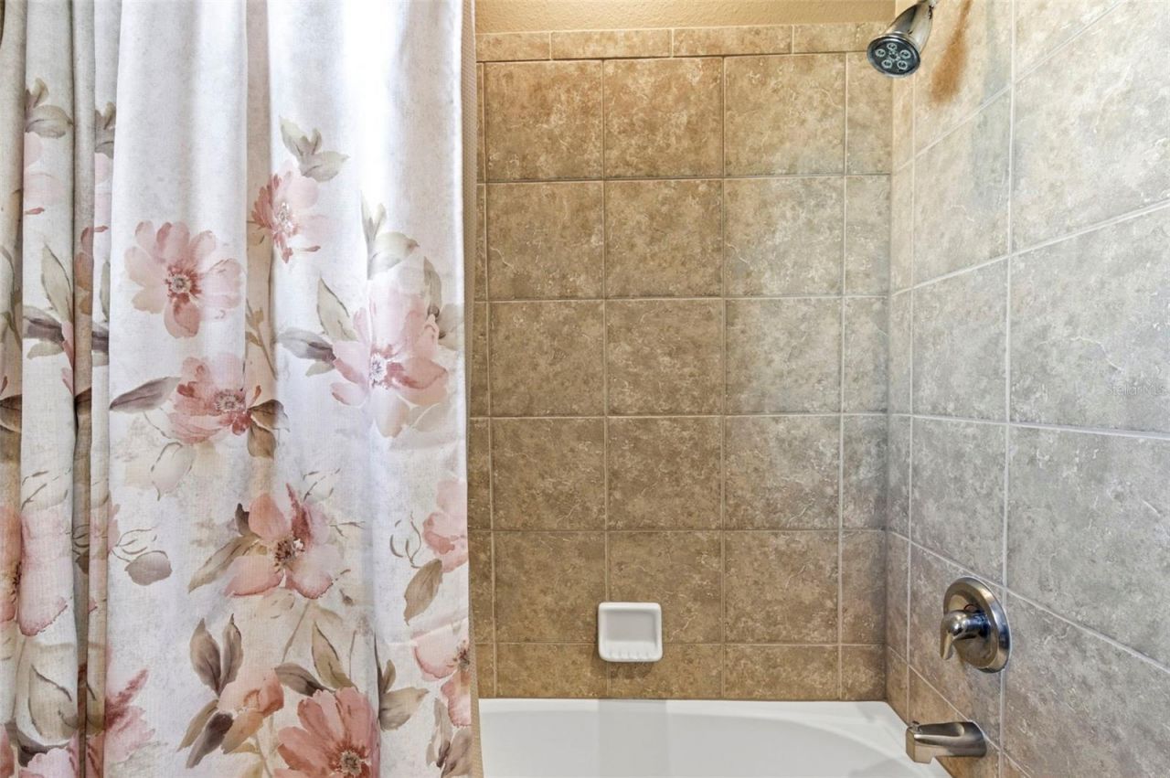 8743 New Alexandria Loop, New Port Richey, FL 34654 Photo