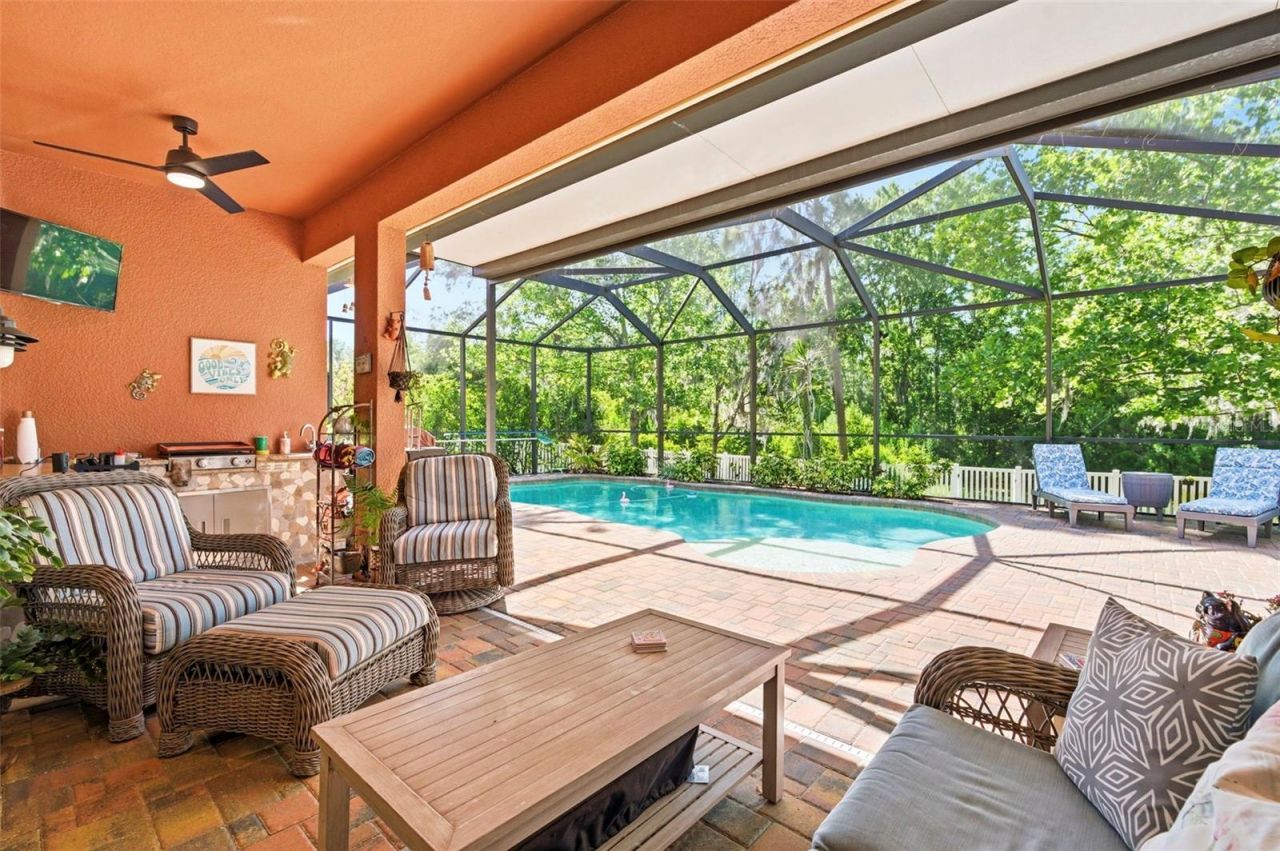 8743 New Alexandria Loop, New Port Richey, FL 34654 Photo