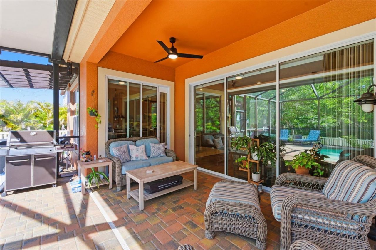 8743 New Alexandria Loop, New Port Richey, FL 34654 Photo