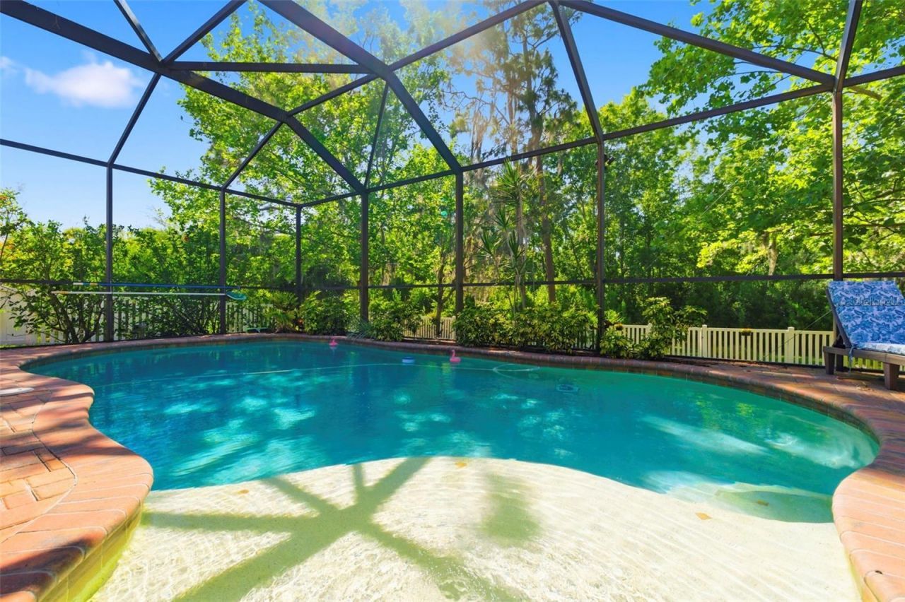 8743 New Alexandria Loop, New Port Richey, FL 34654 Photo