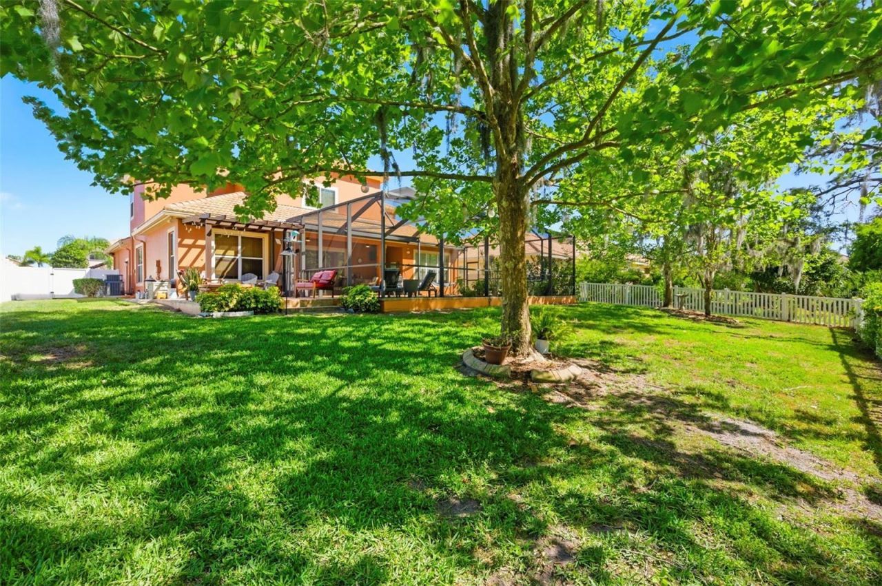 8743 New Alexandria Loop, New Port Richey, FL 34654 Photo