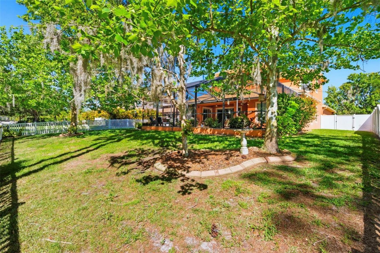 8743 New Alexandria Loop, New Port Richey, FL 34654 Photo