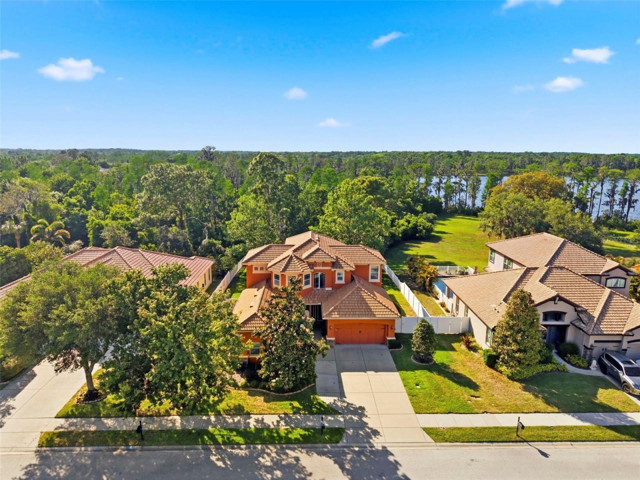 8743 New Alexandria Loop, New Port Richey, FL 34654 Photo