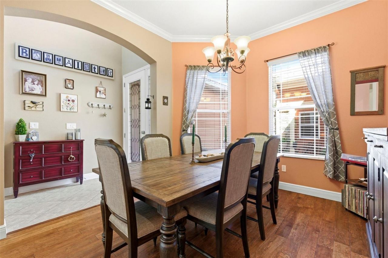 8743 New Alexandria Loop, New Port Richey, FL 34654 Photo