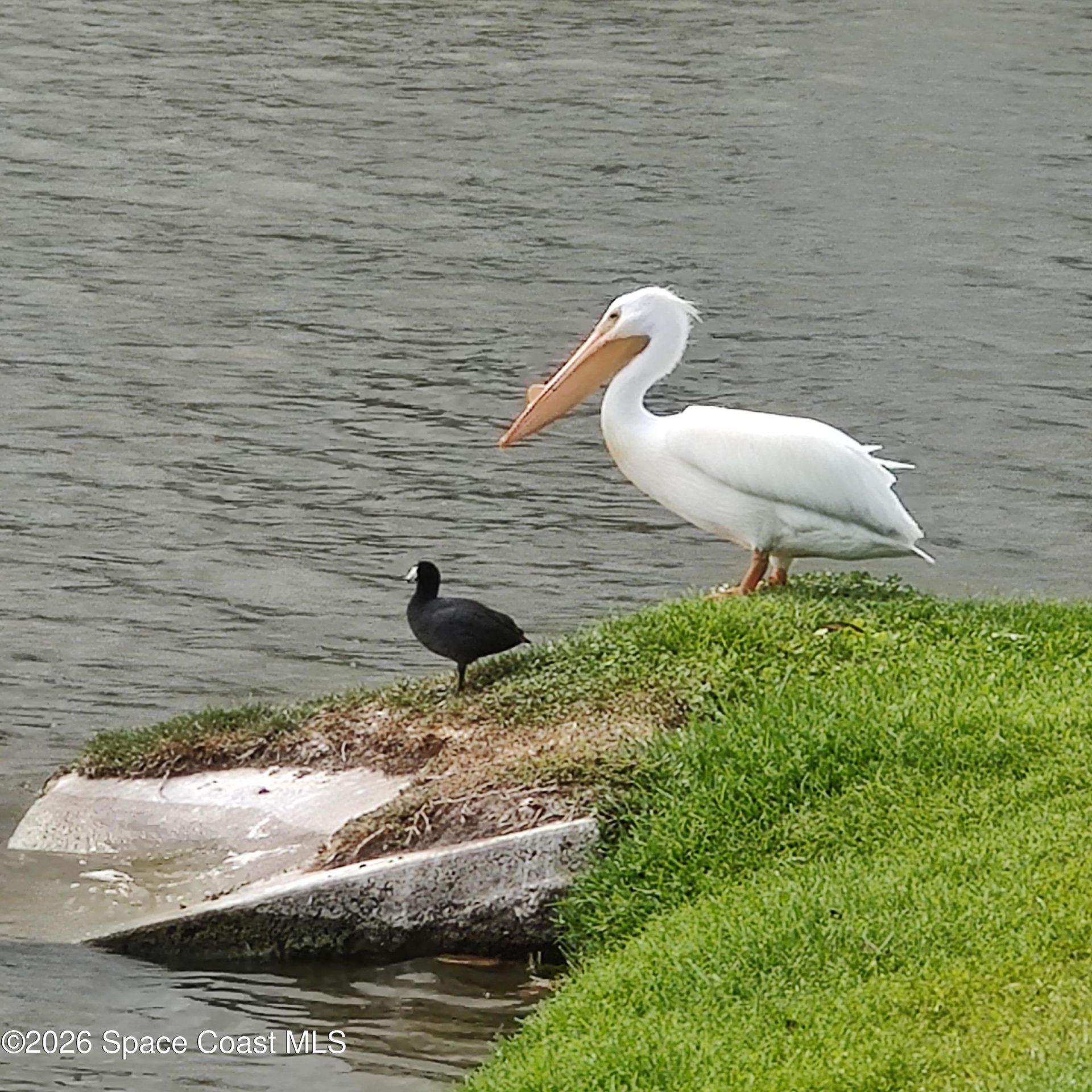 2061 Tiburon Lane , Melbourne, FL 32940 Photo