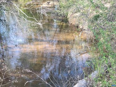 13.3 AC GLADE RD, Schuyler, VA 22969