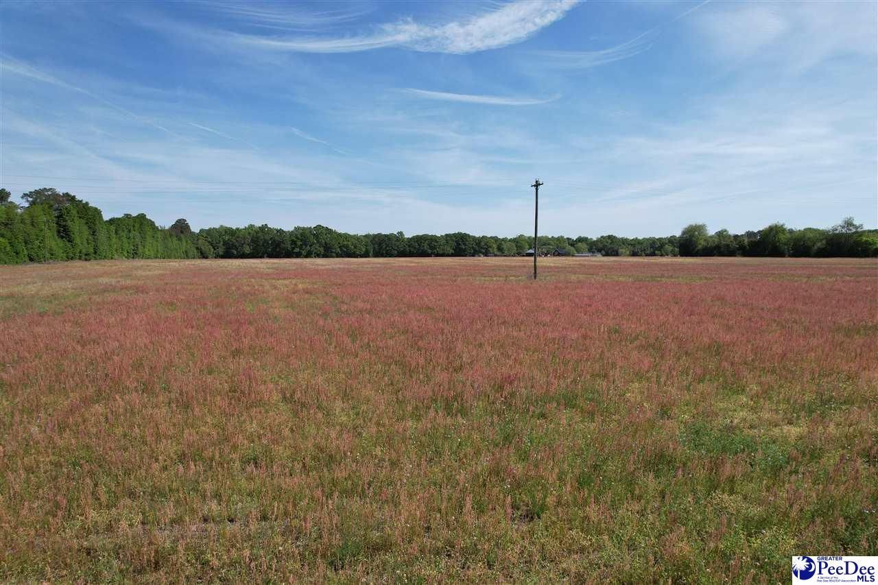 Tbd S Hwy 151 Sc Photo 4