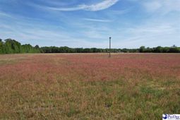 Tbd S Hwy 151 Sc photo 4