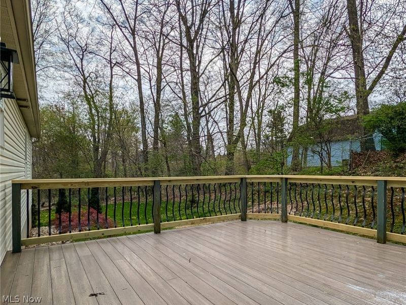 1154 Eaton Drive, Akron, OH 44312 Photo 29