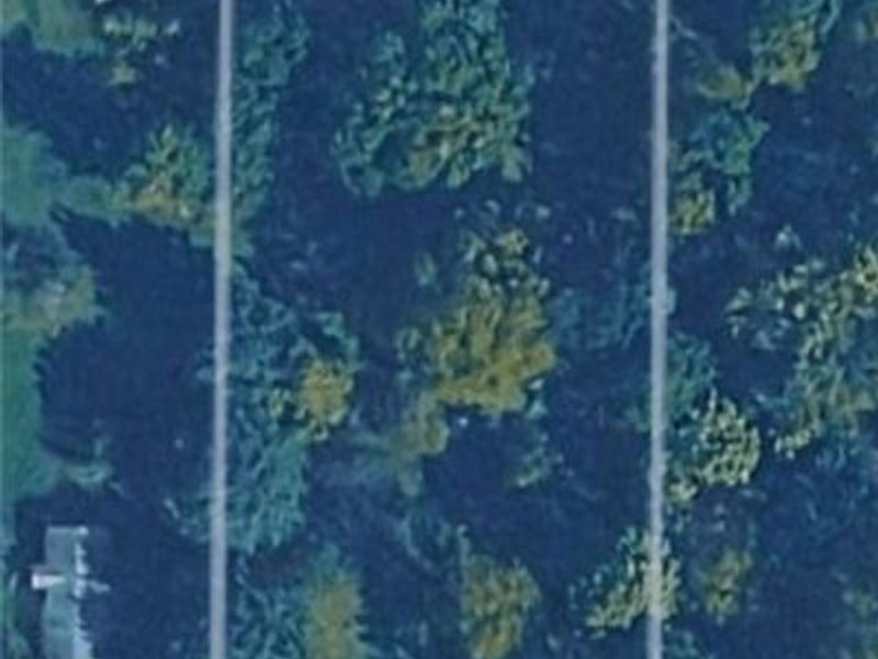 3187 Grenfall Road, Norton, OH 44203 Photo 17