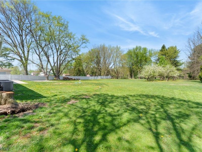 13001 Beeson Street NE, Alliance, OH 44601 Photo 5