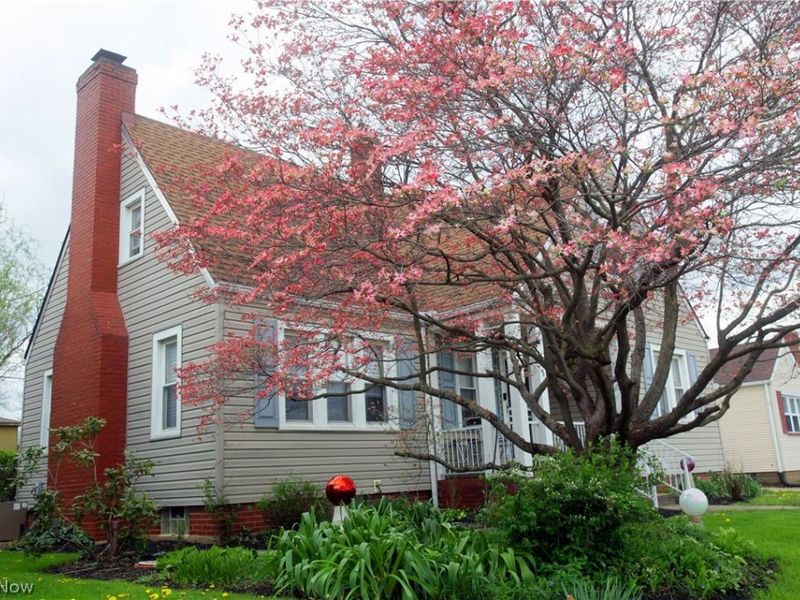 345 Roslyn Avenue NW, Canton, OH 44708 Photo 4