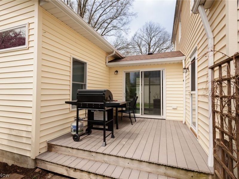 118 Hollywood Street, Oberlin, OH 44074 Photo 26