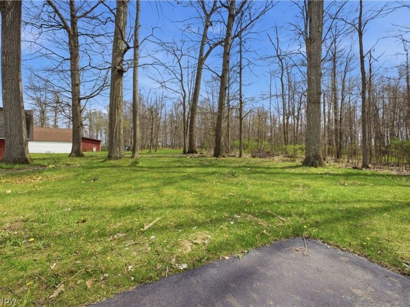 10121 Springfield Road, Poland, OH 44514 Photo 35