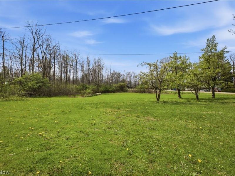 10121 Springfield Road, Poland, OH 44514 Photo 35