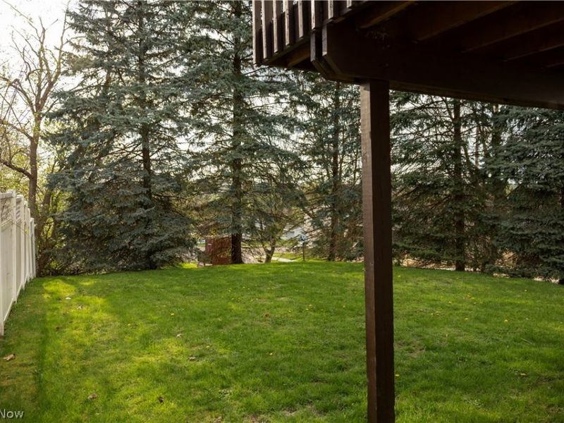 1882 Daniels Avenue, Akron, OH 44312 Photo 6