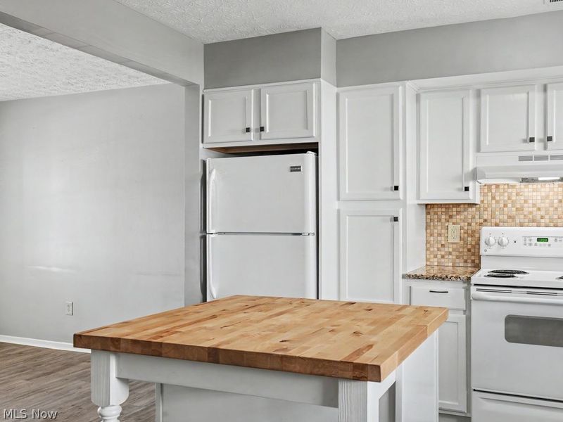 1481 Munroe Falls Avenue , Cuyahoga Falls, OH 44221 Photo 8