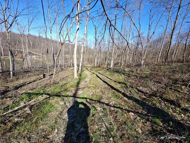 1852 Laramie Road, Carrollton, OH 44615 Photo 10