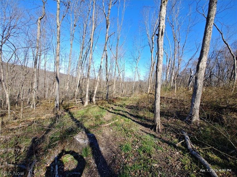 1852 Laramie Road, Carrollton, OH 44615 Photo 11