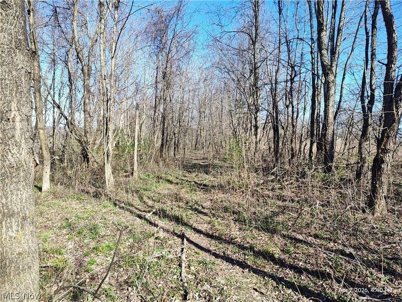 1852 Laramie Road, Carrollton, OH 44615 Photo 12