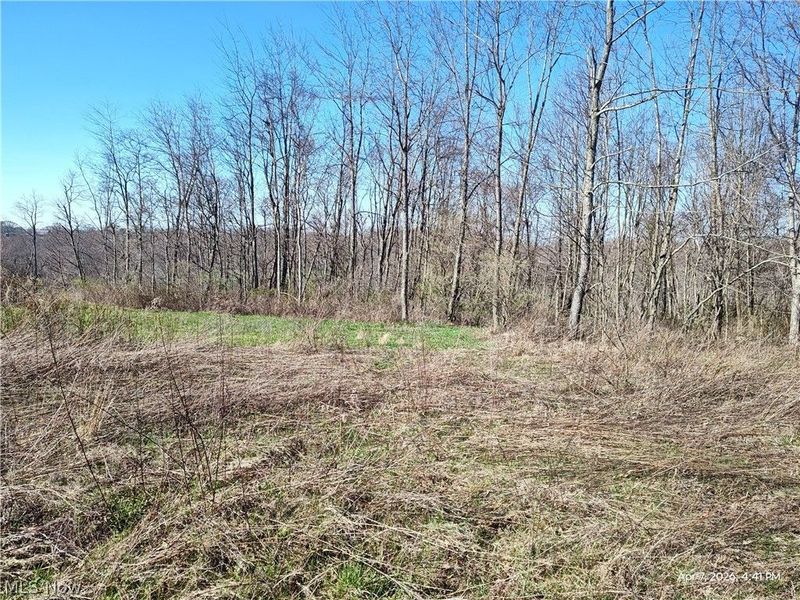 1852 Laramie Road, Carrollton, OH 44615 Photo 14