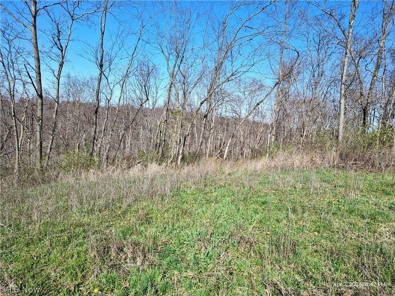 1852 Laramie Road, Carrollton, OH 44615 Photo 15