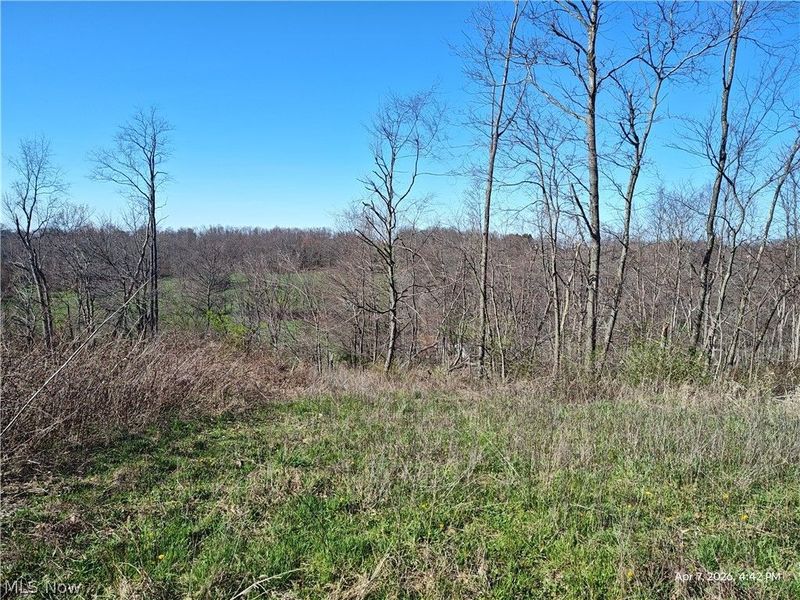 1852 Laramie Road, Carrollton, OH 44615 Photo 16