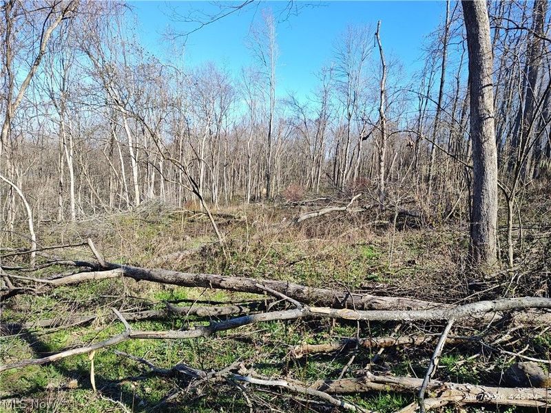 1852 Laramie Road, Carrollton, OH 44615 Photo 17