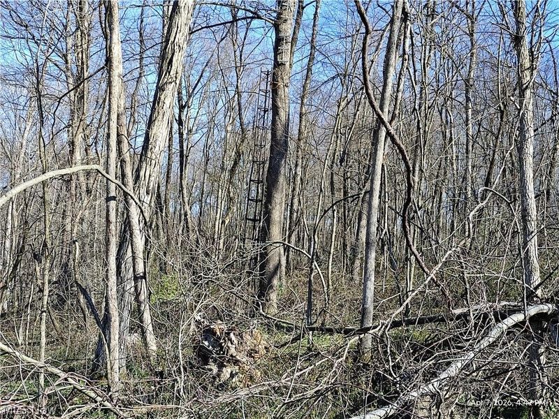 1852 Laramie Road, Carrollton, OH 44615 Photo 18