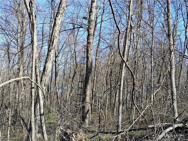 1852 Laramie Road, Carrollton, OH 44615 Photo 19