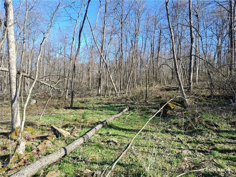 1852 Laramie Road, Carrollton, OH 44615 Photo 20