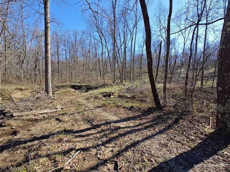 1852 Laramie Road, Carrollton, OH 44615 Photo 3