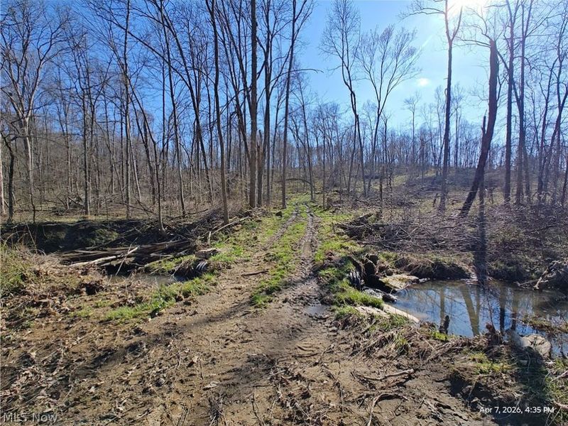 1852 Laramie Road, Carrollton, OH 44615 Photo 5