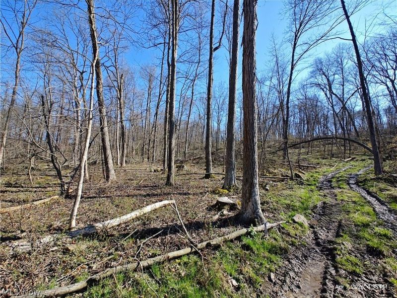 1852 Laramie Road, Carrollton, OH 44615 Photo 6