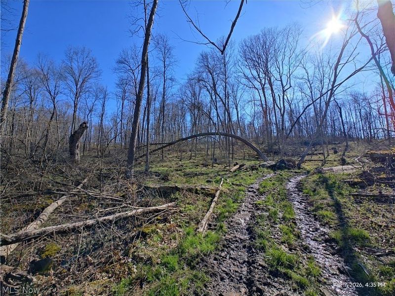 1852 Laramie Road, Carrollton, OH 44615 Photo 7