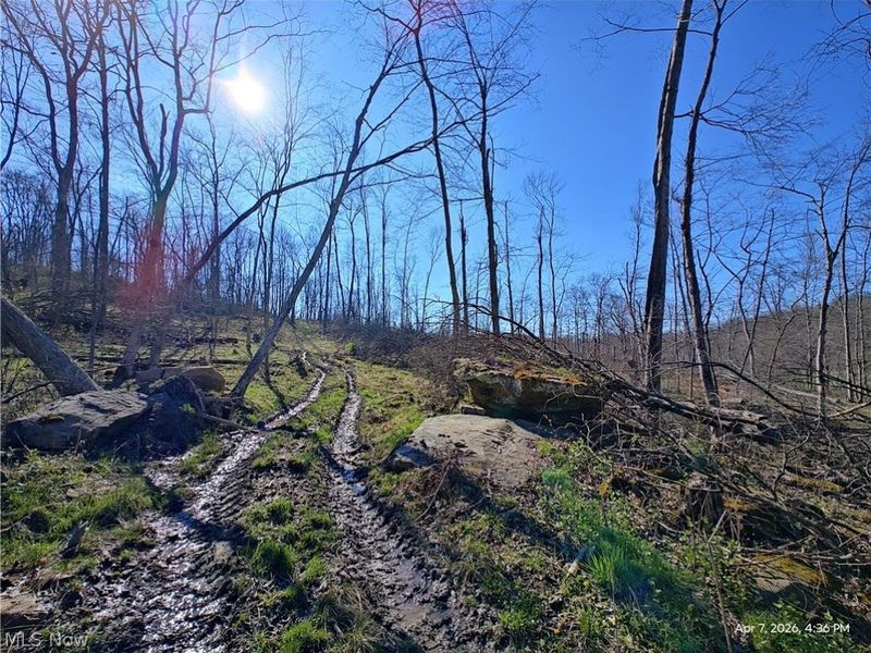 1852 Laramie Road, Carrollton, OH 44615 Photo 8