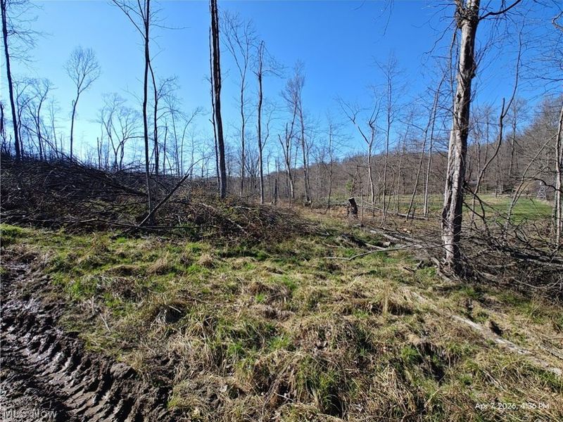 1852 Laramie Road, Carrollton, OH 44615 Photo 9