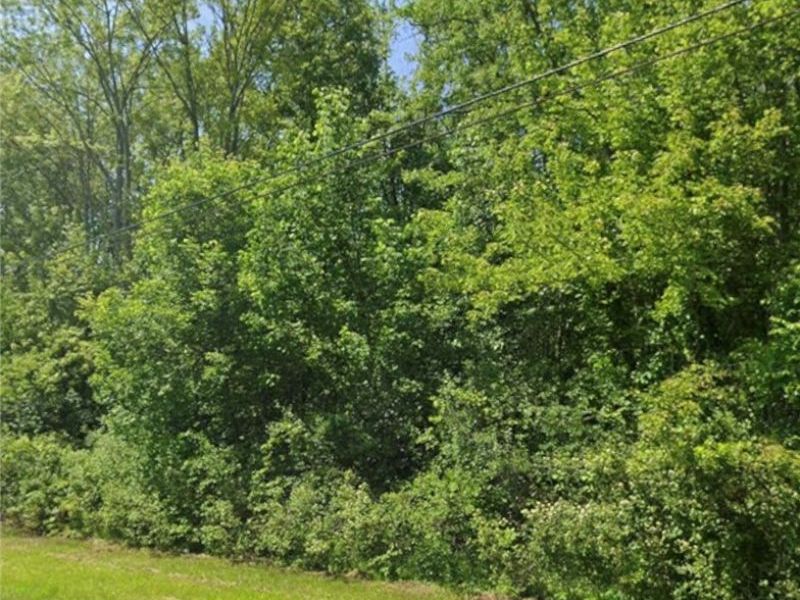 0 Wade Avenue, Ashtabula, OH 44004 Photo 5