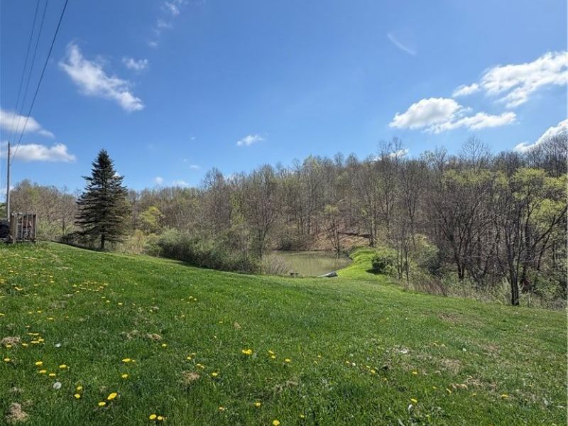 6547 Crane Run Road, Cumberland, OH 43732 Photo 2