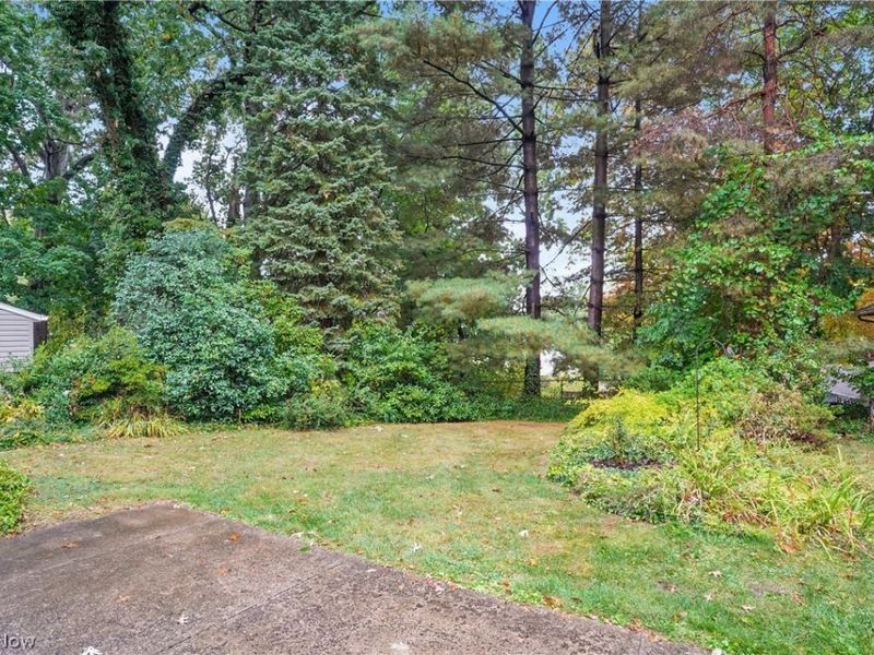 817 Weber Avenue, Akron, OH 44303 Photo 24